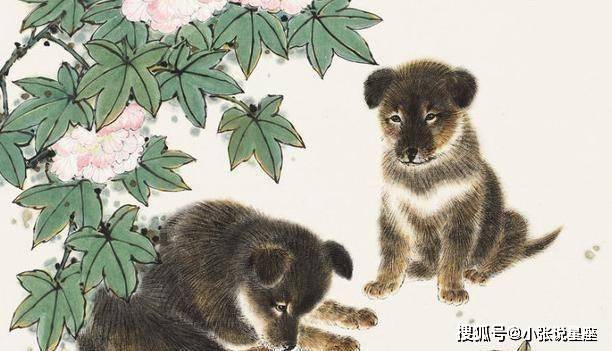 见兔顾犬打一最佳生肖,警惕虚假宣传落实,定量解答解释落实
