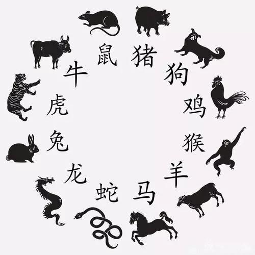龙凤结合才是美打一动物生肖全面释义、定量解答解释落实