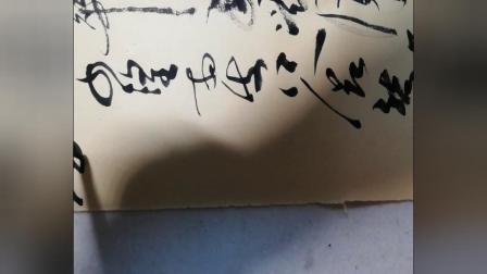 月落乌啼霜满天是什么生肖全面释义、深度解答解释落实