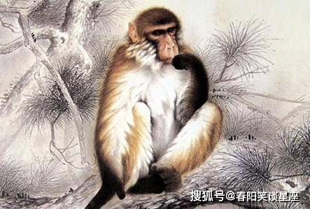 分猴禽起千鈞棒遭插莱萸少一人打一正确生肖,警惕虚假宣传落实,科学解答解释落实